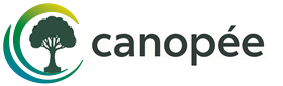 Canopée