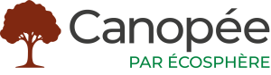 Canopée